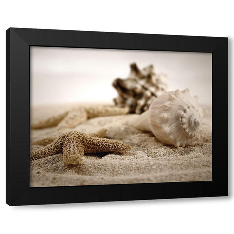 Seashells in the Sand Black Modern Wood Framed Art Print by Cunningham, S.