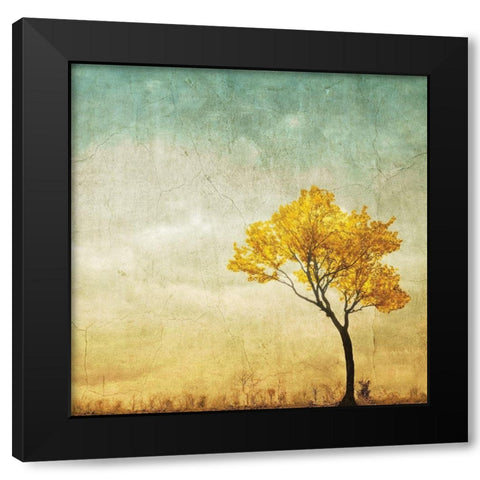 Golden Tree in the Meadow Black Modern Wood Framed Art Print with Double Matting by Anonymous