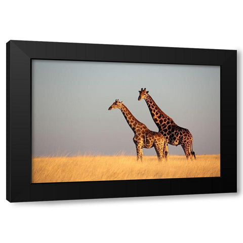 African Skies II Black Modern Wood Framed Art Print with Double Matting by Anonymous