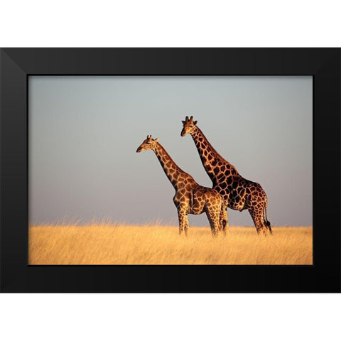 African Skies II Black Modern Wood Framed Art Print by Anonymous