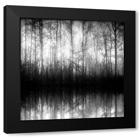 Forest Mist Black Modern Wood Framed Art Print by Anonymous