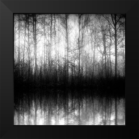 Forest Mist Black Modern Wood Framed Art Print by Anonymous