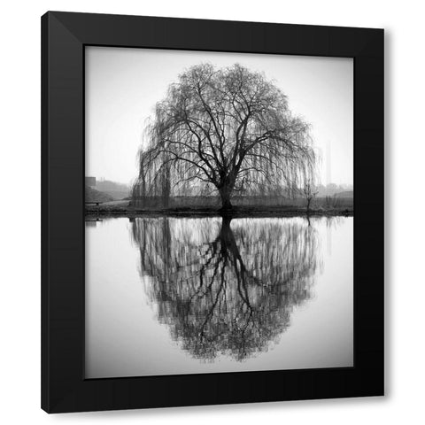 Majestic Willow Black Modern Wood Framed Art Print by Anonymous