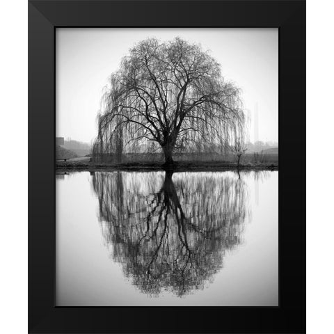 Majestic Willow Black Modern Wood Framed Art Print by Anonymous