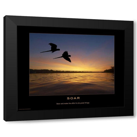 Soar Black Modern Wood Framed Art Print with Double Matting by Anonymous