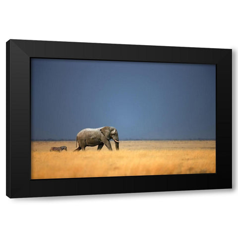 Follow the Leader Black Modern Wood Framed Art Print by Gerhardus