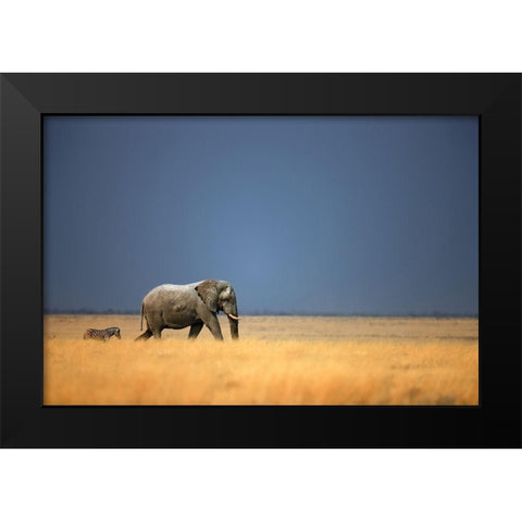 Follow the Leader Black Modern Wood Framed Art Print by Gerhardus