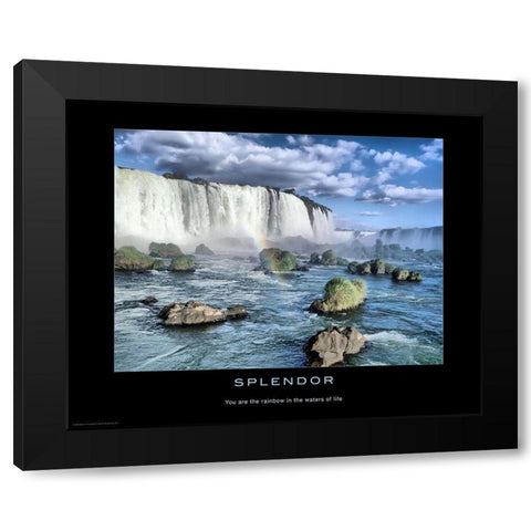 Splendor Black Modern Wood Framed Art Print with Double Matting by Anonymous