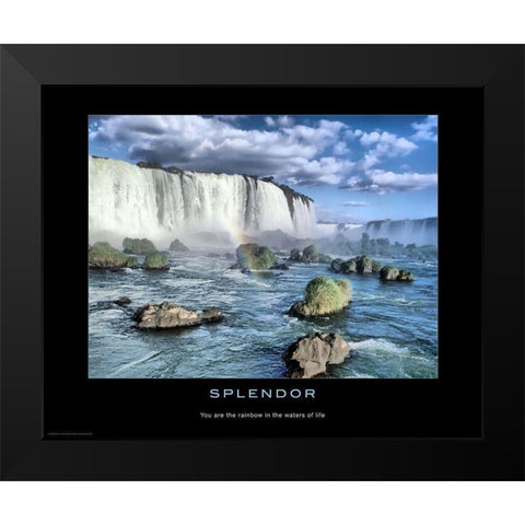 Splendor Black Modern Wood Framed Art Print by Anonymous