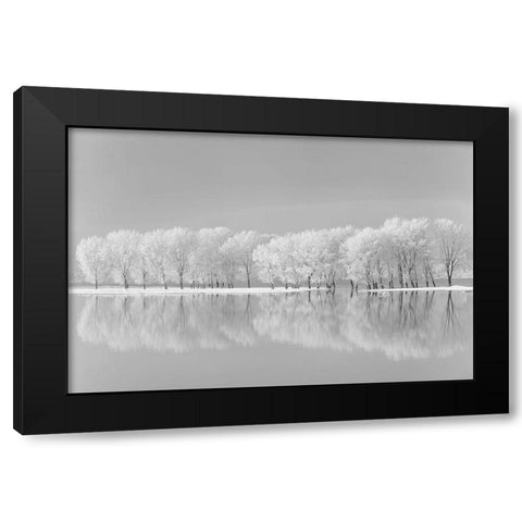 Snow Trees Along the Lake Black Modern Wood Framed Art Print by Jordache