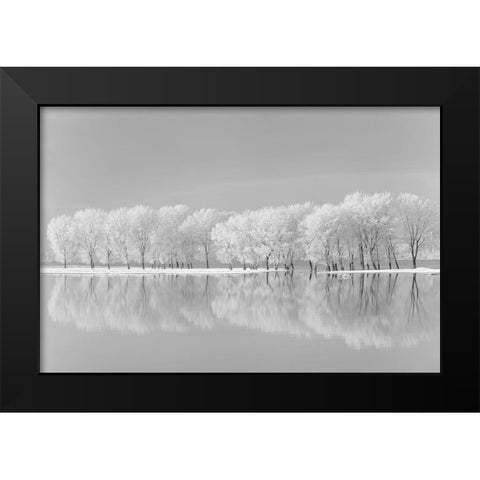 Snow Trees Along the Lake Black Modern Wood Framed Art Print by Jordache