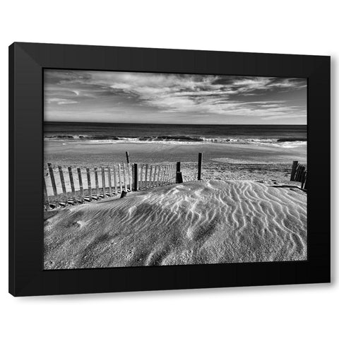 Pathway Black Modern Wood Framed Art Print by Turek, Eve