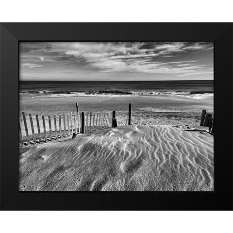 Pathway Black Modern Wood Framed Art Print by Turek, Eve