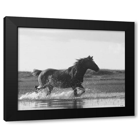 Run Like the Wind Black Modern Wood Framed Art Print with Double Matting by Turek, Eve