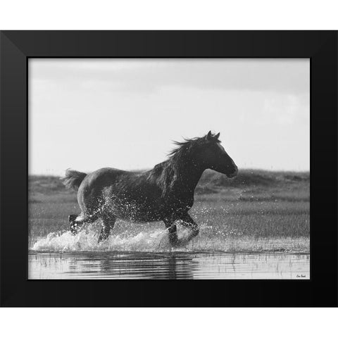 Run Like the Wind Black Modern Wood Framed Art Print by Turek, Eve