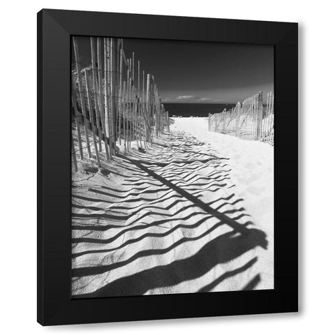 Shadowed Pathway Black Modern Wood Framed Art Print by Anonymous