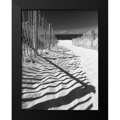 Shadowed Pathway Black Modern Wood Framed Art Print by Anonymous