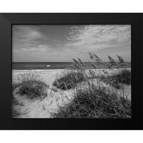 The Blessing Place Black Modern Wood Framed Art Print by Turek, Eve