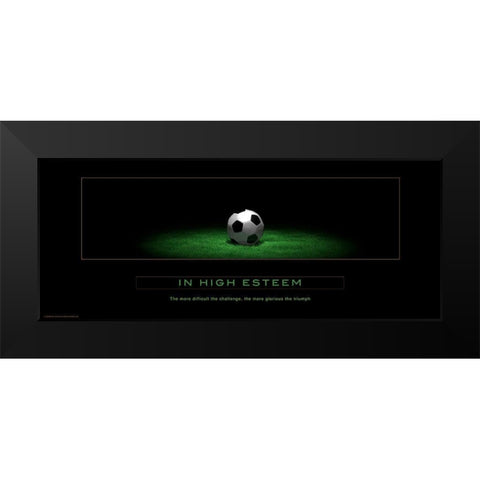 In High Esteem Black Modern Wood Framed Art Print by Anonymous