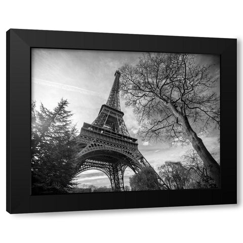 Eiffel Tower with Tree Black Modern Wood Framed Art Print by Graciet, Stephane