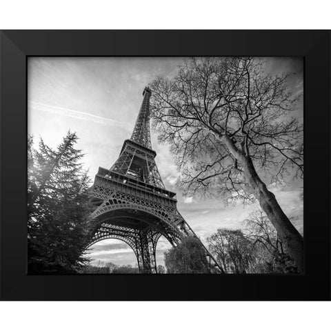 Eiffel Tower with Tree Black Modern Wood Framed Art Print by Graciet, Stephane
