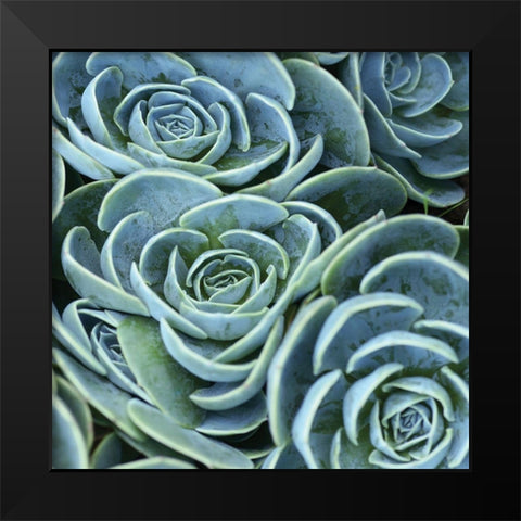 Blue Green Flora Black Modern Wood Framed Art Print by Linjerry