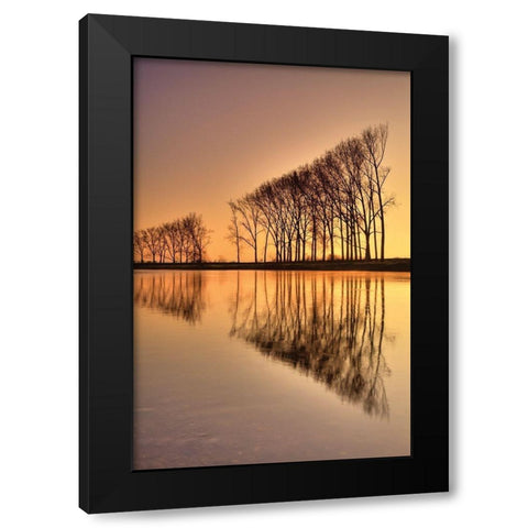 Reflections Black Modern Wood Framed Art Print by Anonymous