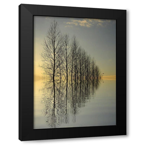 Reflections II Black Modern Wood Framed Art Print by Anonymous
