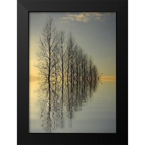 Reflections II Black Modern Wood Framed Art Print by Anonymous