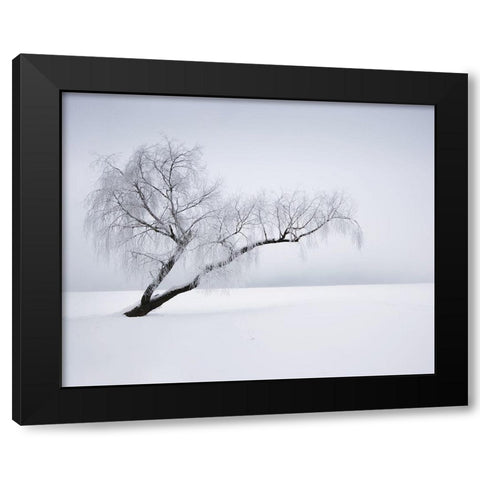 Solitude Black Modern Wood Framed Art Print by Anonymous