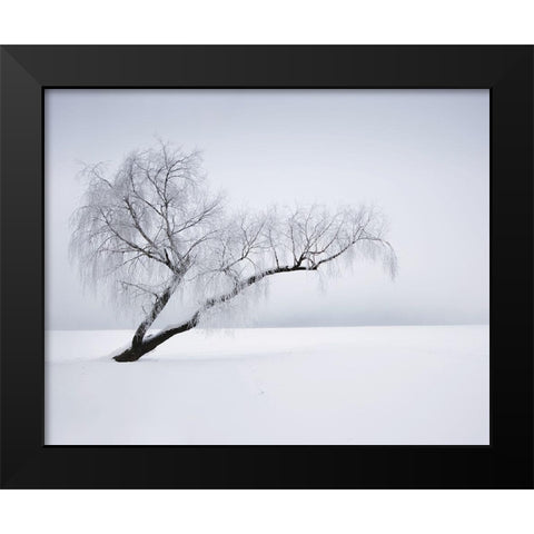 Solitude Black Modern Wood Framed Art Print by Anonymous
