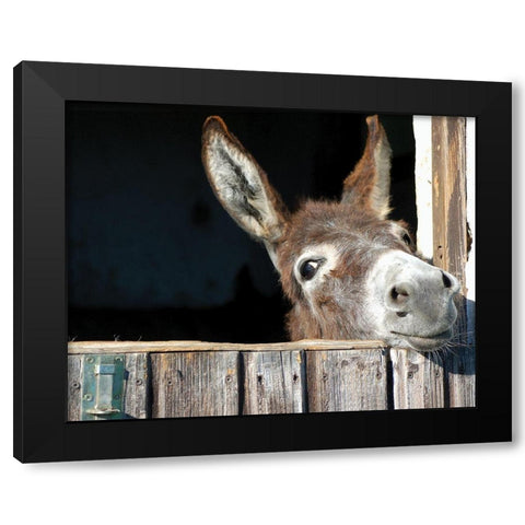 Whos There? Black Modern Wood Framed Art Print with Double Matting by Hawlan
