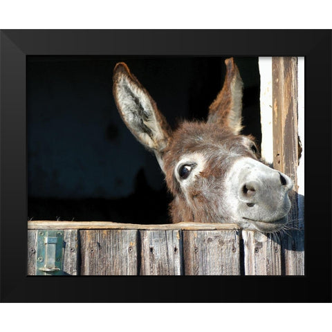 Whos There? Black Modern Wood Framed Art Print by Hawlan