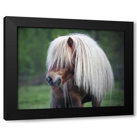 Little Pony Black Modern Wood Framed Art Print with Double Matting by Anonymous