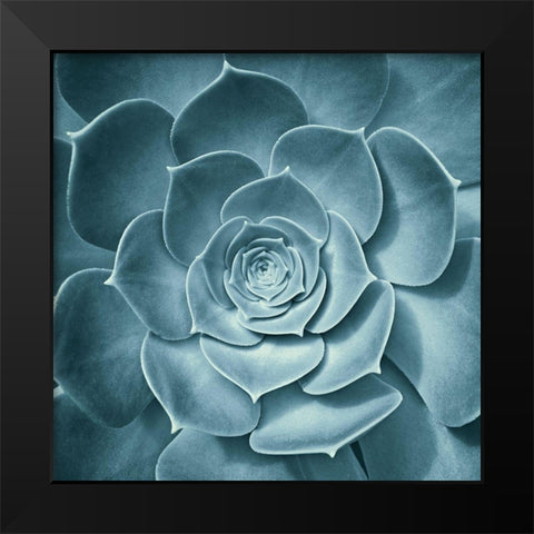 Symmetrical Flora Black Modern Wood Framed Art Print by Spiler
