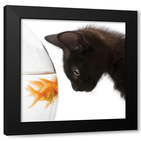 Penny for Your Thoughts Black Modern Wood Framed Art Print with Double Matting by Anonymous