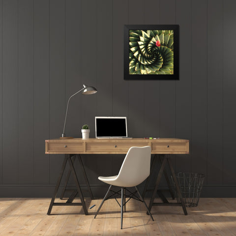 Spiral Aloe Black Modern Wood Framed Art Print by Gosselin