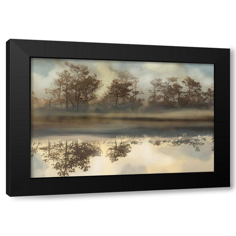 Foggy Morning River Black Modern Wood Framed Art Print by Bereczki, Barna