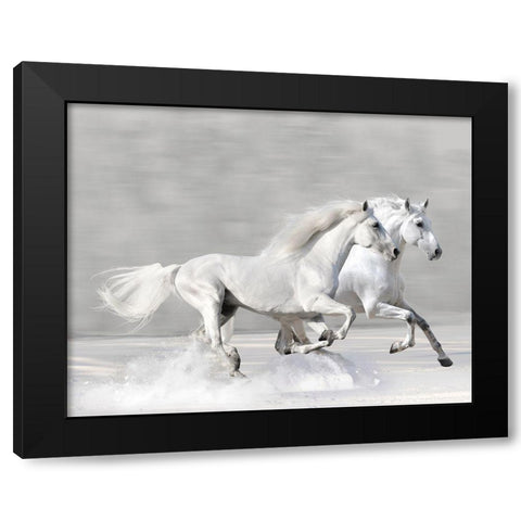 Winter Gallop Black Modern Wood Framed Art Print with Double Matting by Makarova