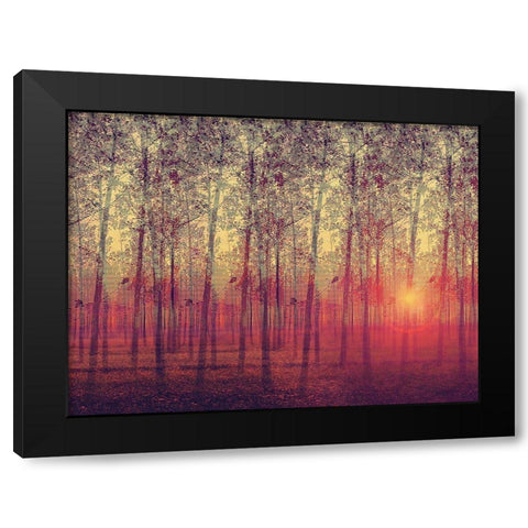 Poplar Trees in the Setting Sun Black Modern Wood Framed Art Print by Anonymous