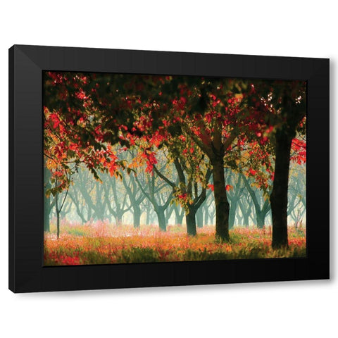 Fall Forest Black Modern Wood Framed Art Print by Zsolnai