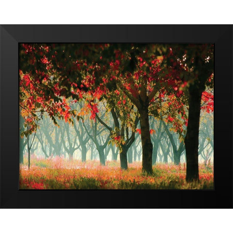 Fall Forest Black Modern Wood Framed Art Print by Zsolnai