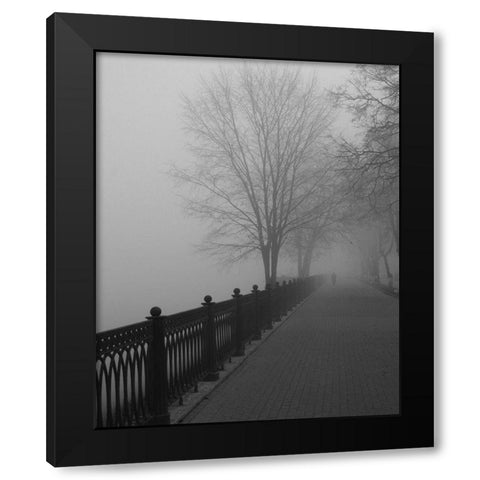 Promenade in the Mist Black Modern Wood Framed Art Print by Anonymous