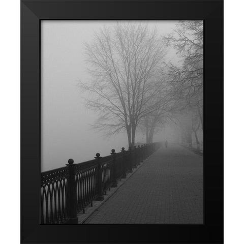 Promenade in the Mist Black Modern Wood Framed Art Print by Anonymous