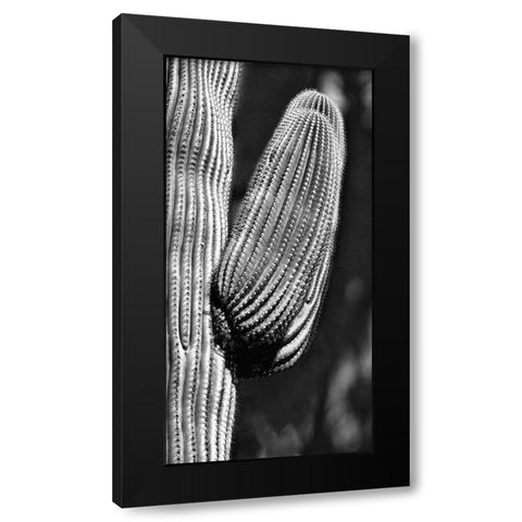 Tucson Saguaro Black Modern Wood Framed Art Print by Pearlman, Steve