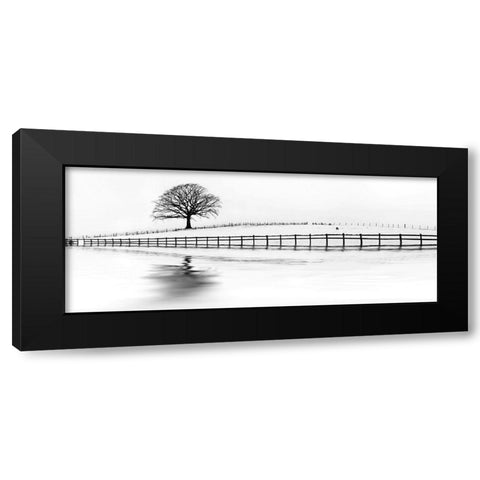 Winter Oak in a Field Black Modern Wood Framed Art Print by Barbone, M.