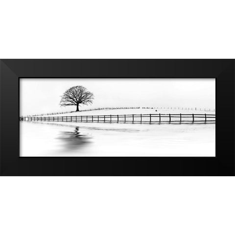 Winter Oak in a Field Black Modern Wood Framed Art Print by Barbone, M.