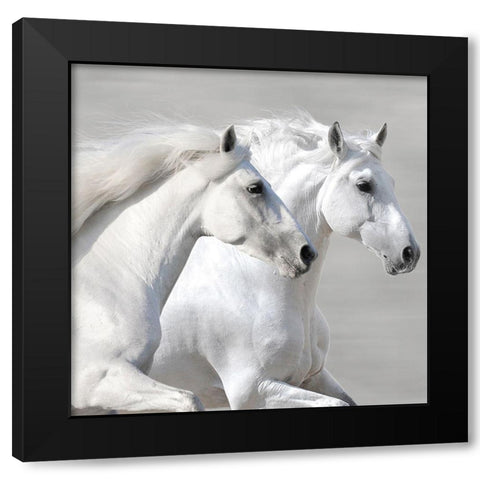 Winter Gallop (detail) Black Modern Wood Framed Art Print with Double Matting by Makarova