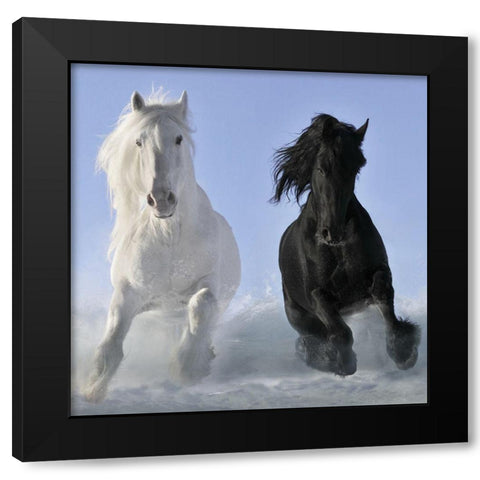 Salt And Pepper (detail) Black Modern Wood Framed Art Print by Makarova
