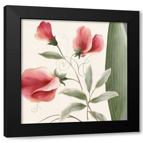 Passion Flower Black Modern Wood Framed Art Print with Double Matting by Unknown
